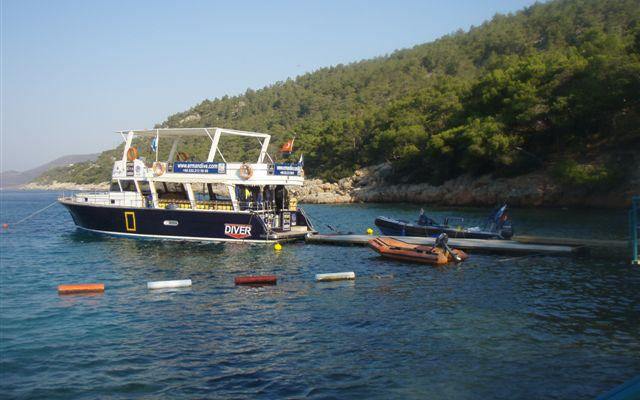 erman dive